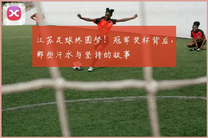 江苏足球终圆梦！冠军奖杯背后，那些汗水与坚持的故事